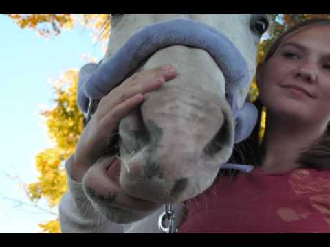 City Lights;;Cloudy Skies;; Slow Dance In The //Rain\\ Lola♥