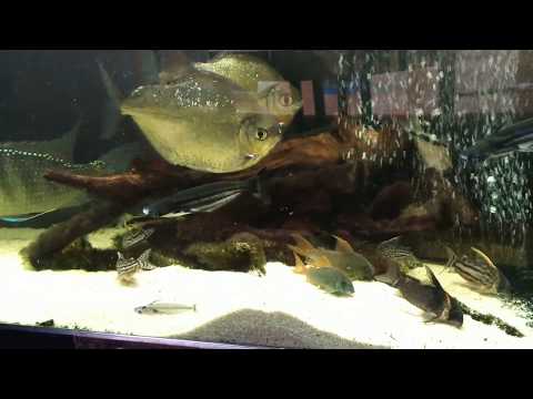 V 20180119 140515 vHDR Auto OC0