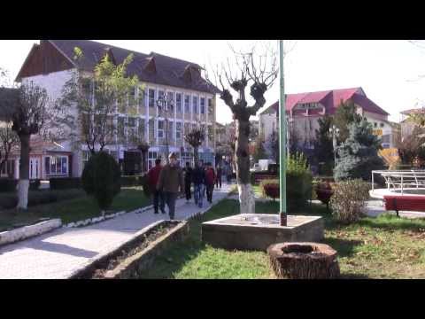 Zona Orasului Targu Neamt