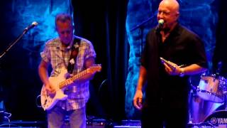 Mark Pollock Benefit 2015 Dallas   Kim Wilson & Anson Funderburg