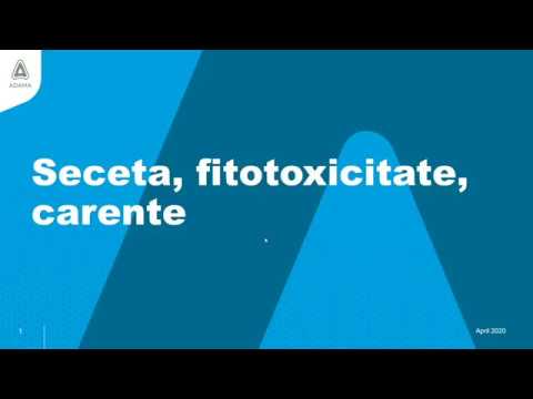 filele multiple pentru viziune