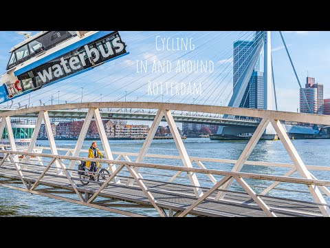 A WATERBUS, bring bike for free! - Cycling in Rotterdam & De Biesbosch