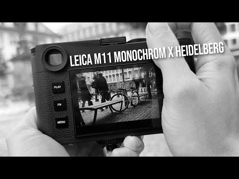 ASMR Tour Leica M11 Monochrom & 50 F1.4 Summilux ASPH durch Heidelberg