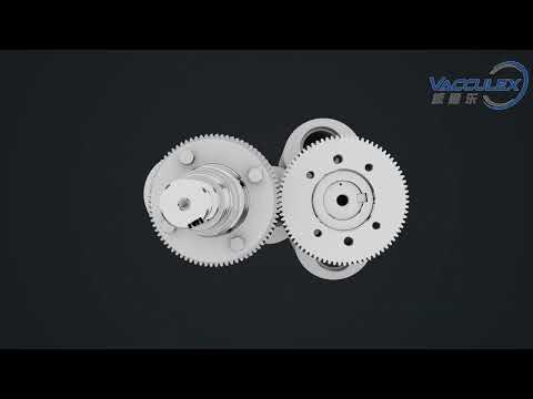 Roots vacuum pump - Vacculex