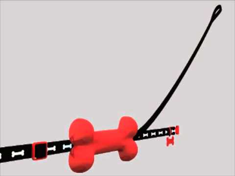 Dana Lea Maurer | Hide A Leash