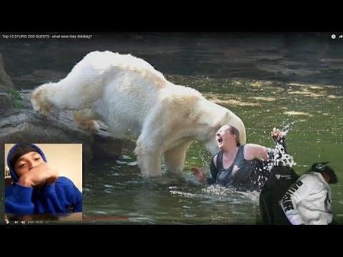 HoodieDre0 Cashnasty Top 15 STUPID Zoo Guest- What Are You Doing?