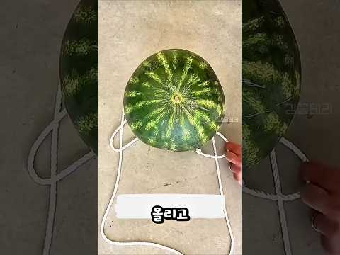매듭법 🧵 유용한 만능 매듭법 추천 #꿀팁 #살림초보