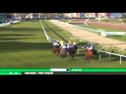 Vido et arrive du Prix D'essai,  l'Hippodrome De Toulouse