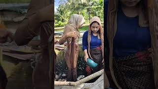 Download lagu ngintip gadis mandi #jampangturunankidul #gadisdesa mp3 Download lagu ngintip gadis mandi #jampangturunankidul #gadisdesa mp3