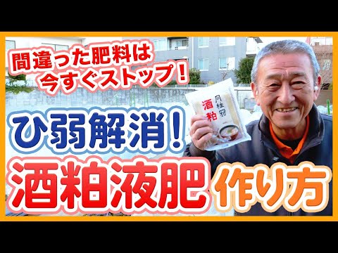 天然肥料の中で最も効果的な肥料、コンフリー肥料の作り方  庭園