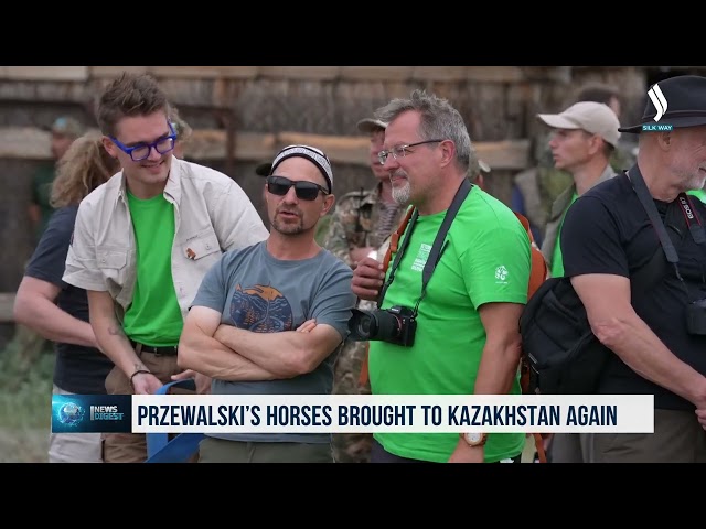 Przewalski’s horses brought to Kazakhstan again