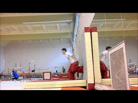 New flip - Wall Reverse Back Full