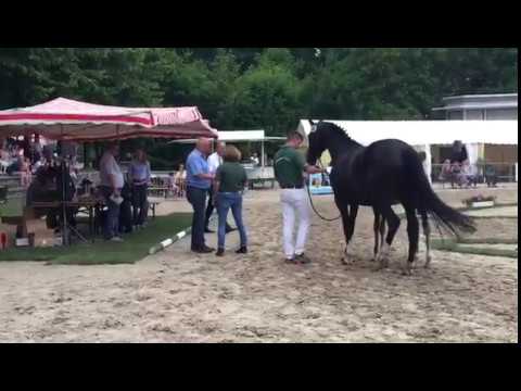 SF von For Romance II x San Amour