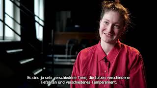 Die Bremer Stadtmusiktiere | nach dem Märchen der Brüder Grimm ab 5 Jahren | JES – Junges Ensemble Stuttgart