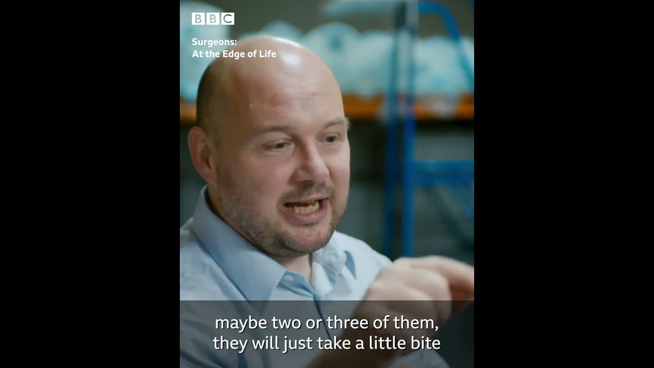 BBC Leech therapy | Surgeons: At the Edge of Life