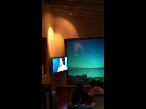 Volcano simulation room