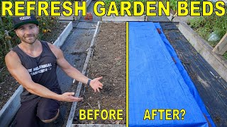 REFRESH GARDEN BEDS In Just 6 WEEKS With This Simple Garden Tip