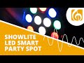 Showlite SPS-121 LED Smart Party Spot 12x 1W RGBW thumbnail 6