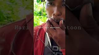 Download lagu Tutorial memanggil tupai || suara tupai mp3