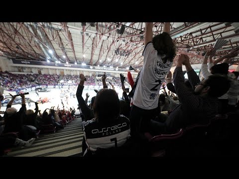 Kulisy meczu ONICO - Asseco Resovia