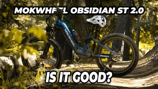 I Pushed This E-Bike to the ABSOLUTE Limit