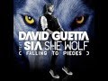 Paramore style - She Wolf (Falling To Pieces ...