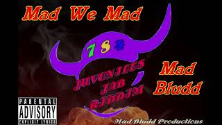 Mad Bludd - We Mad {Juveniles Anthem} (Juveniles Jab Riddim) New Vincy Power Soca May 2019