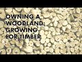 Owning a Woodland: Growing for Timber