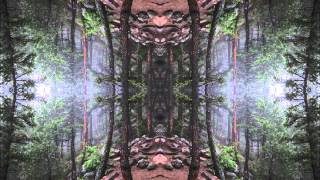 Syb Unity Nettwerk - Life Support System (Mindscape Mix)
