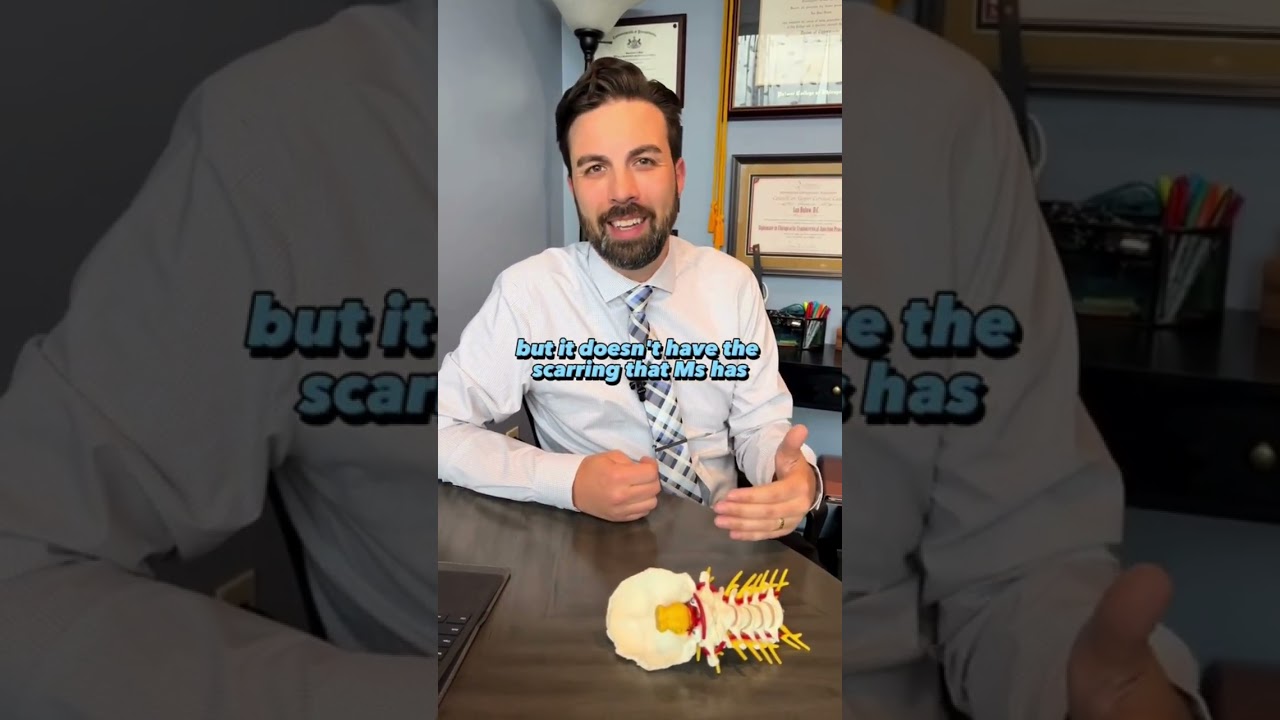 Difference Between Multiple Sclerosis (MS)  Fibromyalgia? #shorts