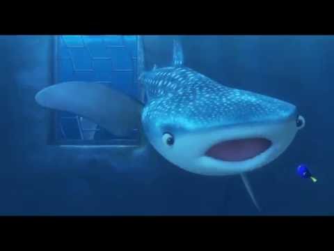 Finding Dory (Clip 'You're a Beluga')