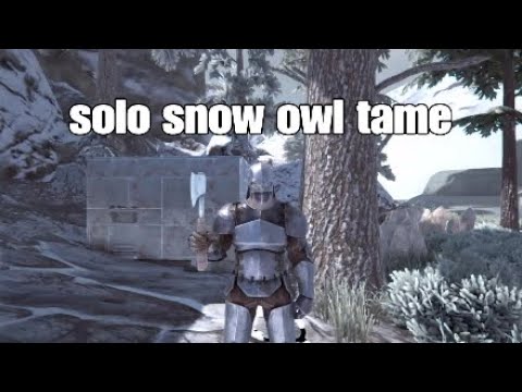 Ark: How to tame a snow owl
