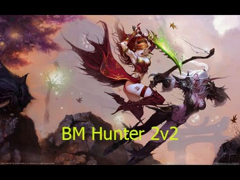 6.0 WoD Beta 2v2 - BM Hunter Feral Druid 2v2 - Patch 6.0