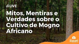 Miniatura do vídeo