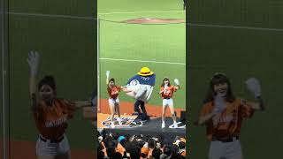 【Unigirls】#mina #柔一 #台灣大賽G3@台北ドーム(台北大巨蛋) 20241022 #台湾チア #cheerdance #unigirls