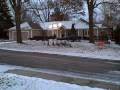 2008 Christmas Lights Introduction