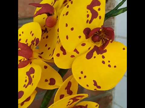 , title : 'IonArtes/ Orquídea Phalaenopsis amarela de pintinhas 💕 Confeccionada em e.v.a Feita a mão 💕'