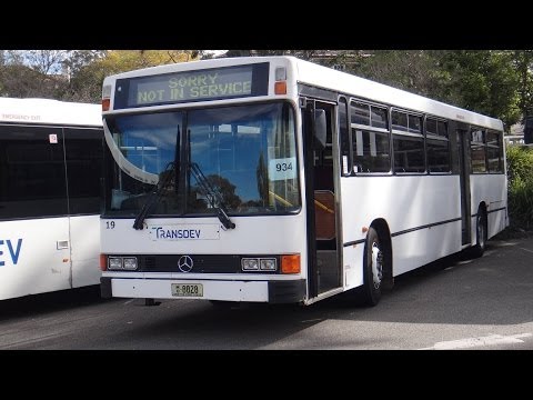 Transdev NSW M/O 8828 - Mercedes-Benz O405 (ZF/Custom Coaches 238)
