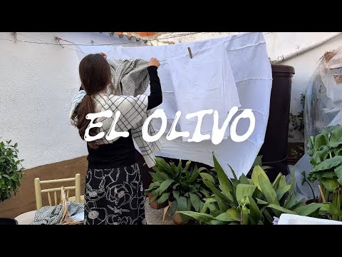 EL OLIVO