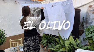 EL OLIVO