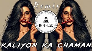 Download lagu Kaliyon Ka Chaman (Guitar Hip Hop Remix) | Joyti | Trap | Drill Mix | DNM Music mp3 Download lagu Kaliyon Ka Chaman (Guitar Hip Hop Remix) | Joyti | Trap | Drill Mix | DNM Music mp3