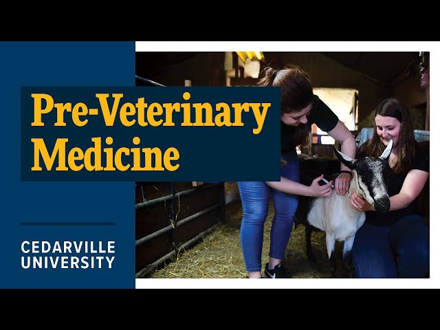 Thumbnail for video titled: Study Pre-Veterinary Medicine at Cedarville University?