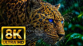 🦁 WILDLIFE DISCOVERY 8K (60FPS) ULTRA HD – Amazing Animals of Earth