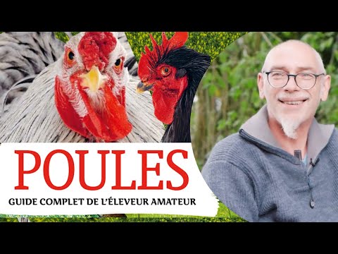 , title : 'COMMENT ELEVER DES POULES ET PRENDRE SOIN DU POULAILLER'