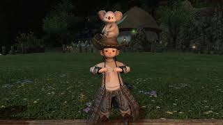 Yol Dance
