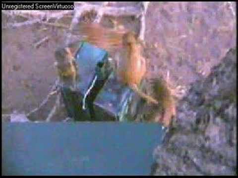 WildEarth Djuma 6-30-07  Baboon and Camera