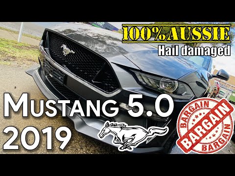 Mustang 5.0 CC 10 Speed  2019 Super Cool Car Review #Hail_Damaged #Quick_Ride cheap Cars Australia