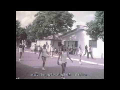 Fazenda Nova para sempre