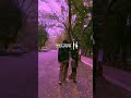 Mareez E Ishq ️‍ Arjit Singh Slowed Reverb Aesthetic Status 4k HD Status Love Whatsapp Status