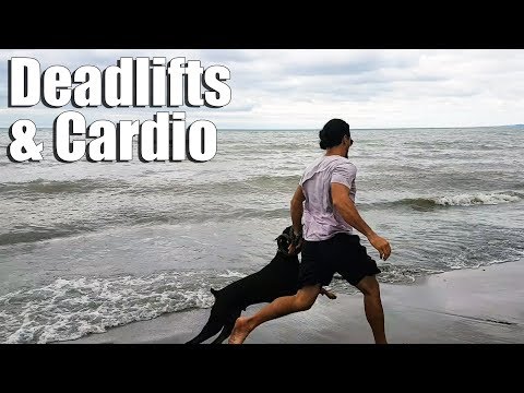 Deadlifting with Straps and Cardio with Doberman Dante Video